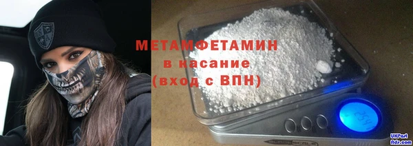 индика Михайловск