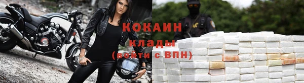 индика Михайловск