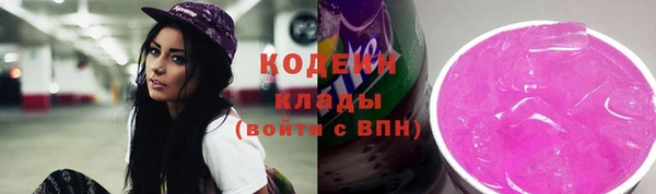 индика Михайловск