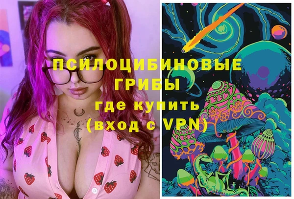индика Михайловск