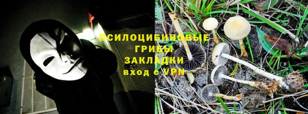 тгк Балахна