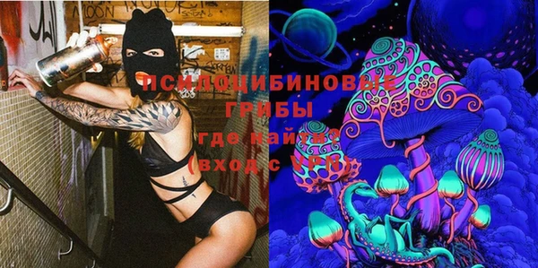 прущая мука Аркадак