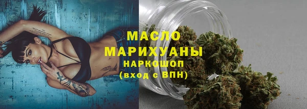 индика Михайловск