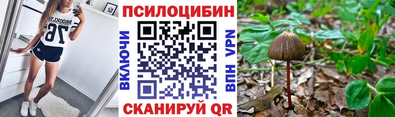 Галлюциногенные грибы прущие грибы Моршанск